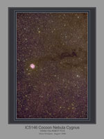 IC4146 Cocoon